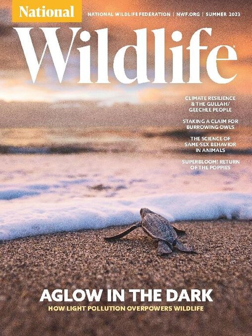 Title details for National Wildlife by National Wildlife Federation - Available